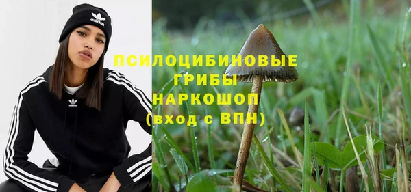 гидра Бронницы