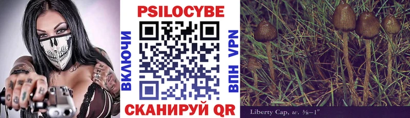 нарко площадка Telegram  Шали  Псилоцибиновые грибы прущие грибы 